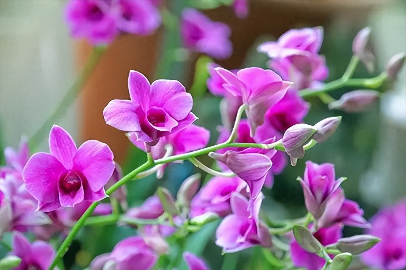 分享重逢的唯美句子(图5)