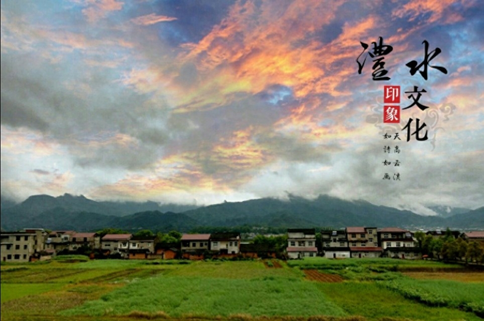 做人如草，低调才好！每一句话都是对人生的深刻感悟！(图4)