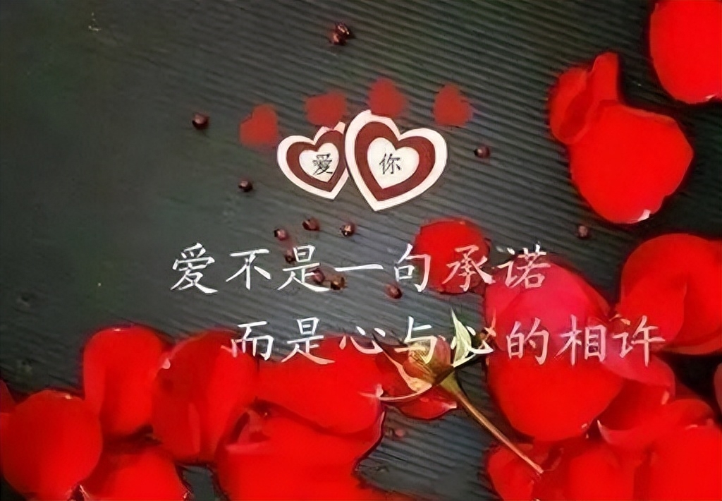 伤感个性的心情语录说说(图7)