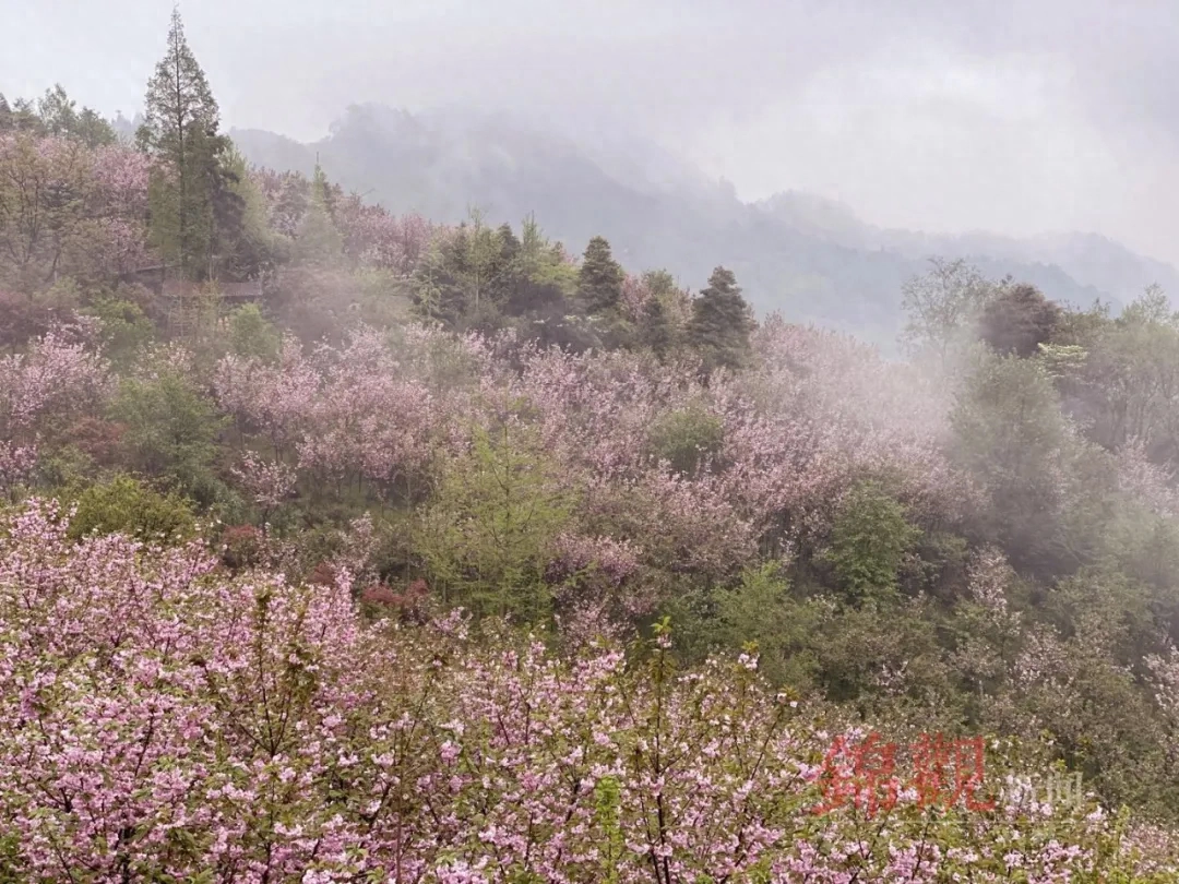 人间四月是成都(图32)