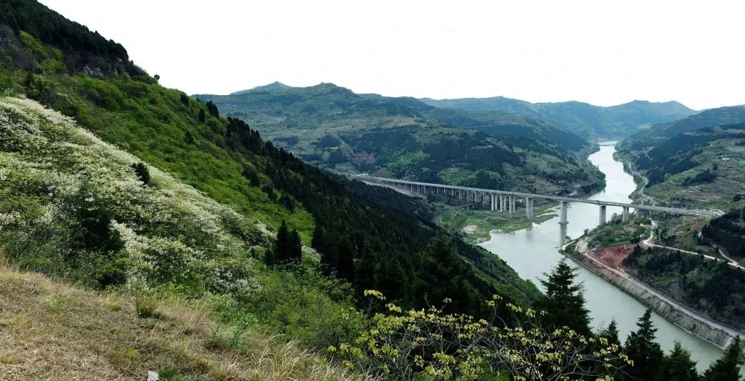 人间四月是成都(图43)