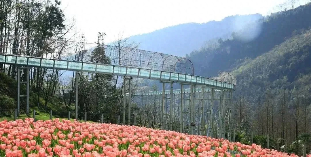 人间四月是成都(图44)