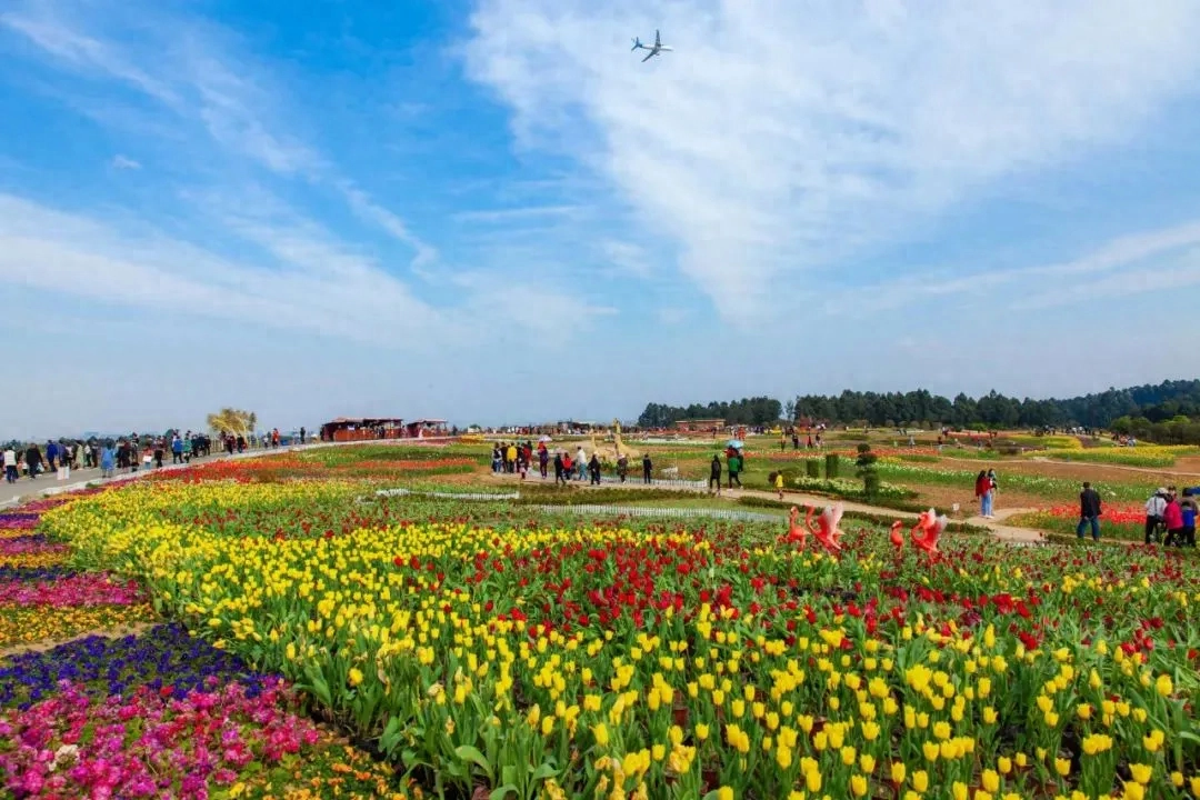 人间四月是成都(图45)