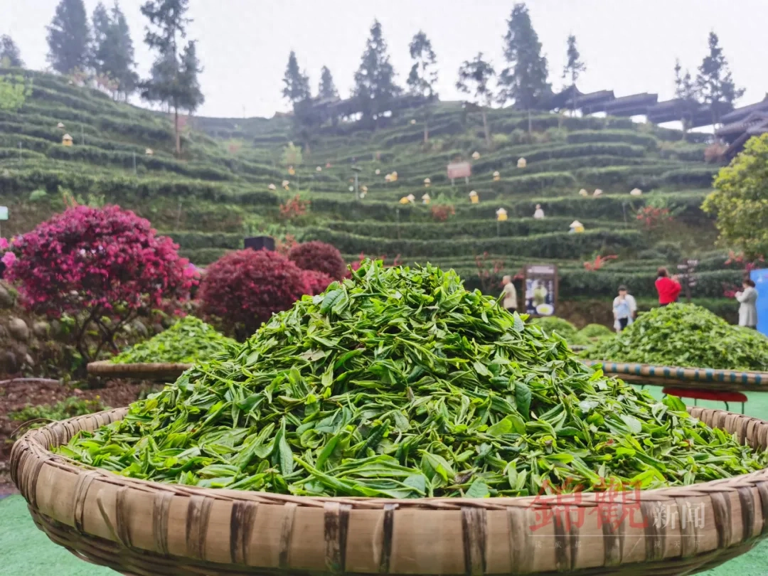 人间四月是成都(图54)