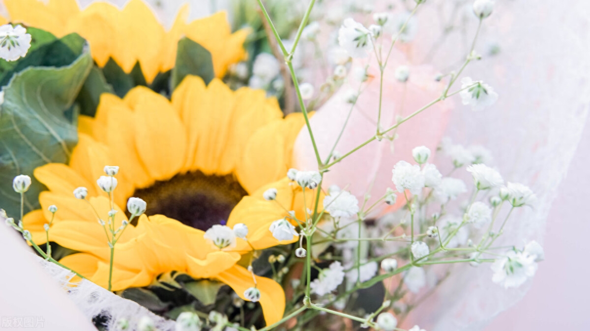 【减压放松】20个舒缓疲惫心情的句子 带你走出忙碌的生活 情感语录(图1)