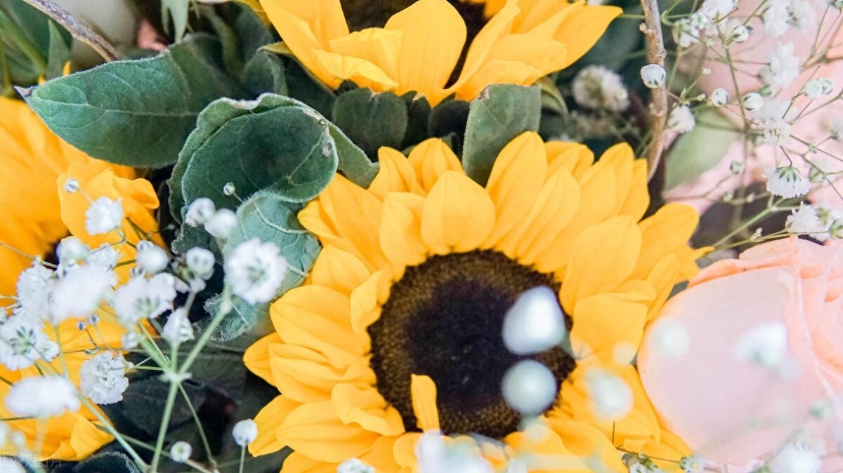 【减压放松】20个舒缓疲惫心情的句子 带你走出忙碌的生活 情感语录(图2)