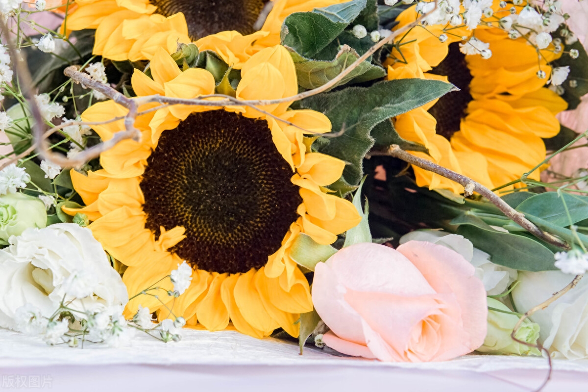 【减压放松】20个舒缓疲惫心情的句子 带你走出忙碌的生活 情感语录(图3)