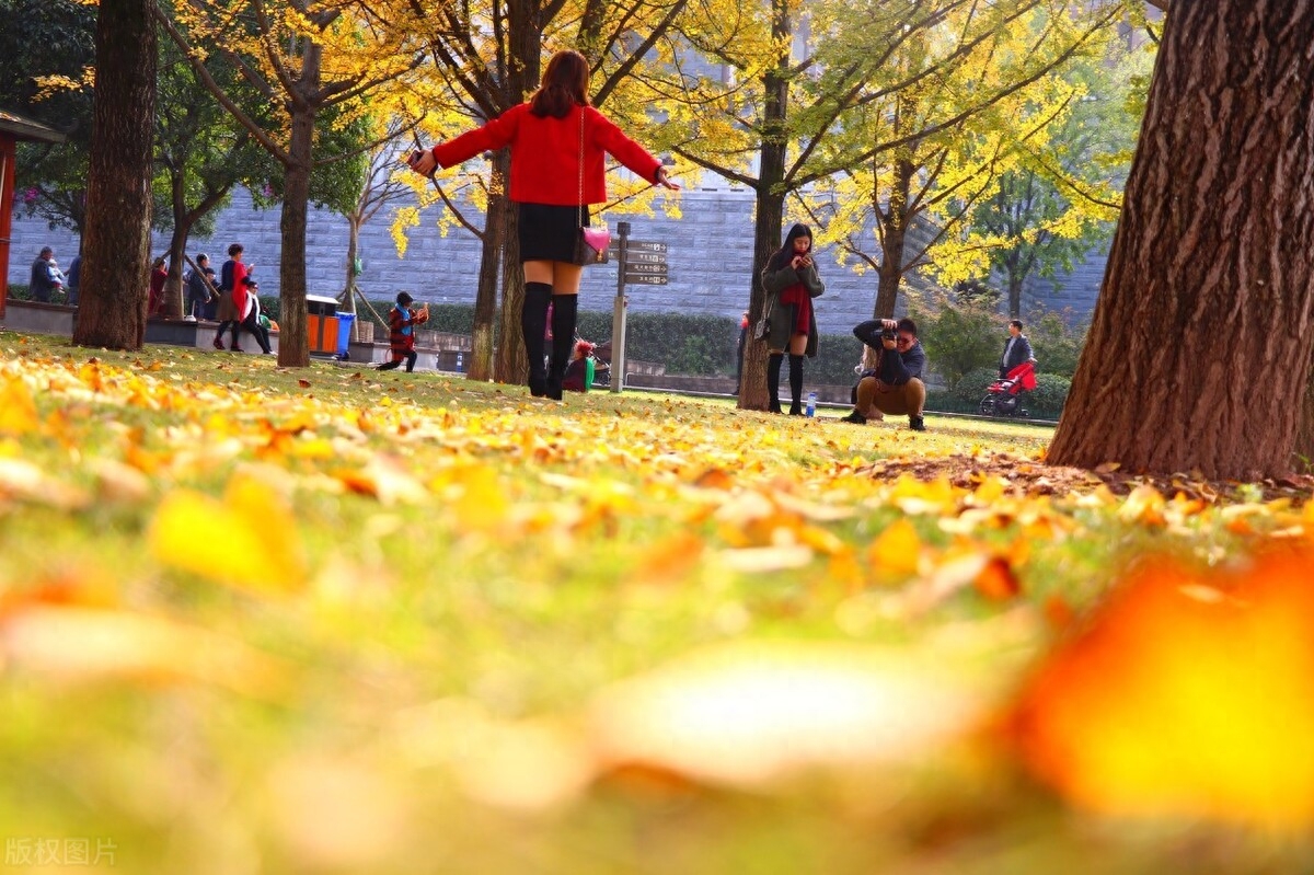 半醒半醉半人生，一山一水一世梦(图2)