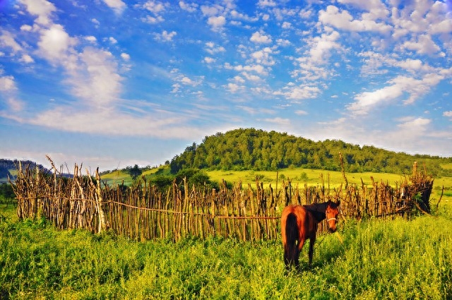 悲凉诗句：痛彻心扉的文字，让人心碎(图1)