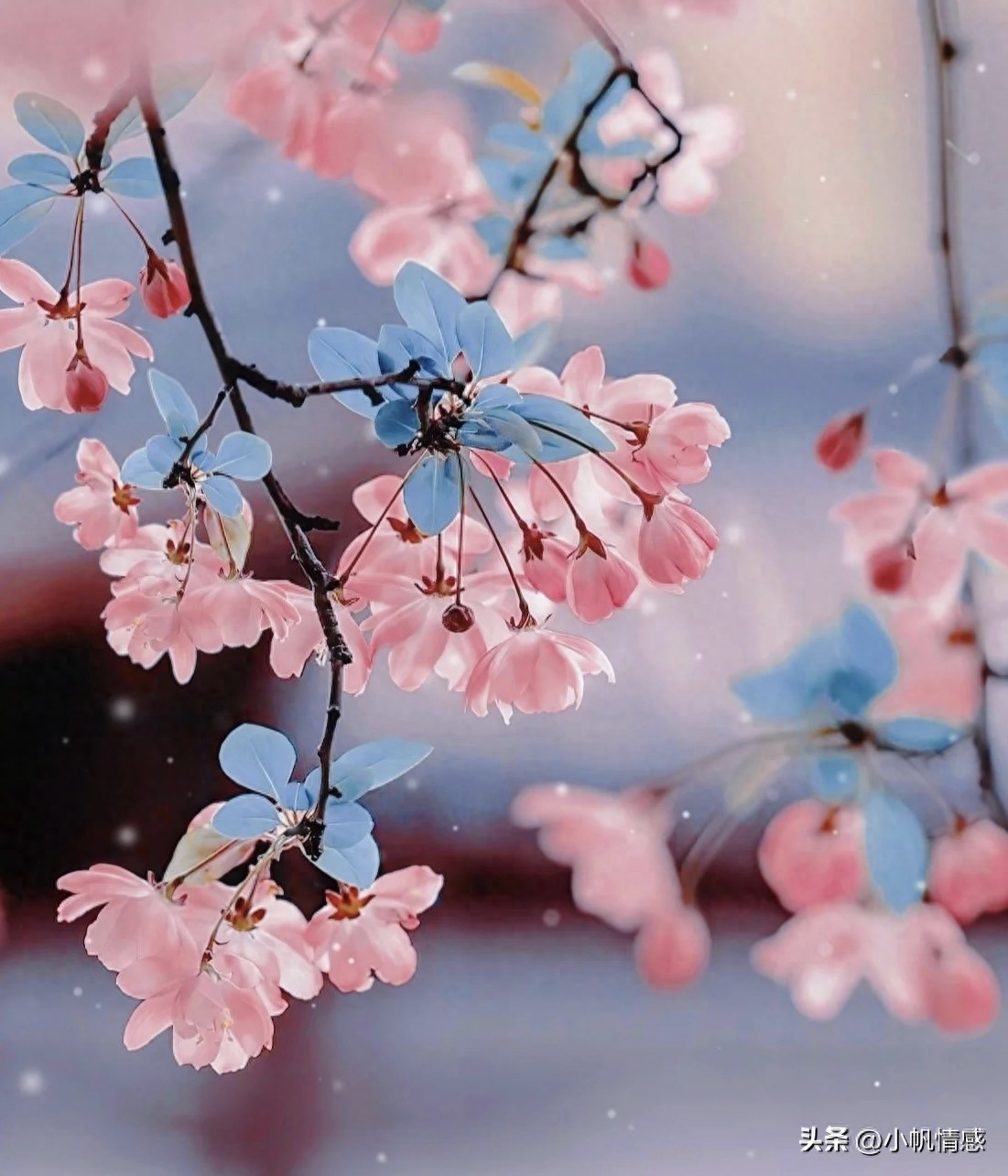 用回忆刺伤心脏，用倔强堵住心痛(图1)