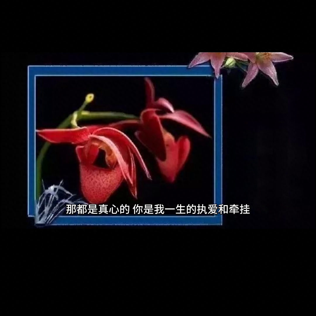 非常珍惜今生的相遇，#伤感文案(图2)