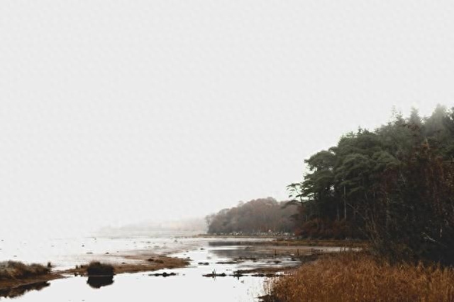 18句经典文言文名句，句句包含东方哲学，老外：学不会学不会(图5)