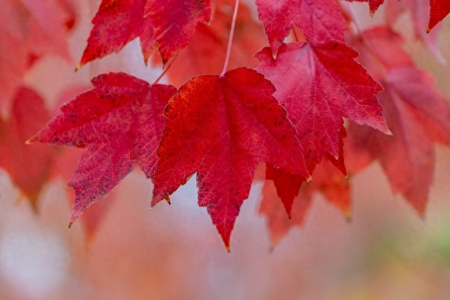 爱到深处，不后悔，我愿意等你到永远(图3)