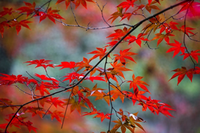 爱到深处，不后悔，我愿意等你到永远(图5)