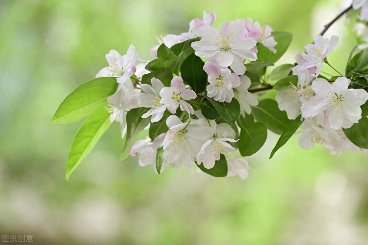 真爱难忘，我愿意等你一生(图3)