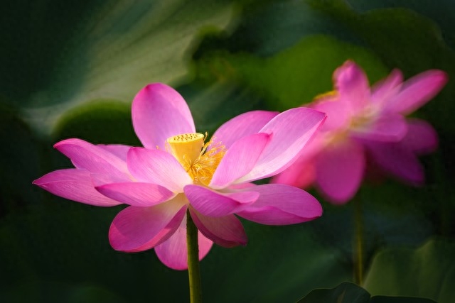 爱，是一种牵挂，老去的路上，我会一直等你(图1)