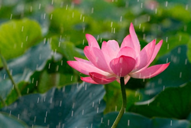 爱，是一种牵挂，老去的路上，我会一直等你(图2)