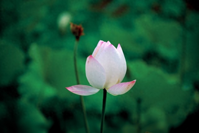 爱，是一种牵挂，老去的路上，我会一直等你(图3)