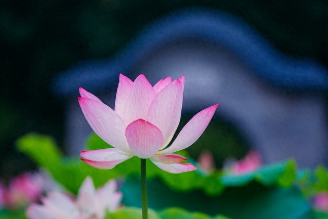 爱，是一种牵挂，老去的路上，我会一直等你(图4)