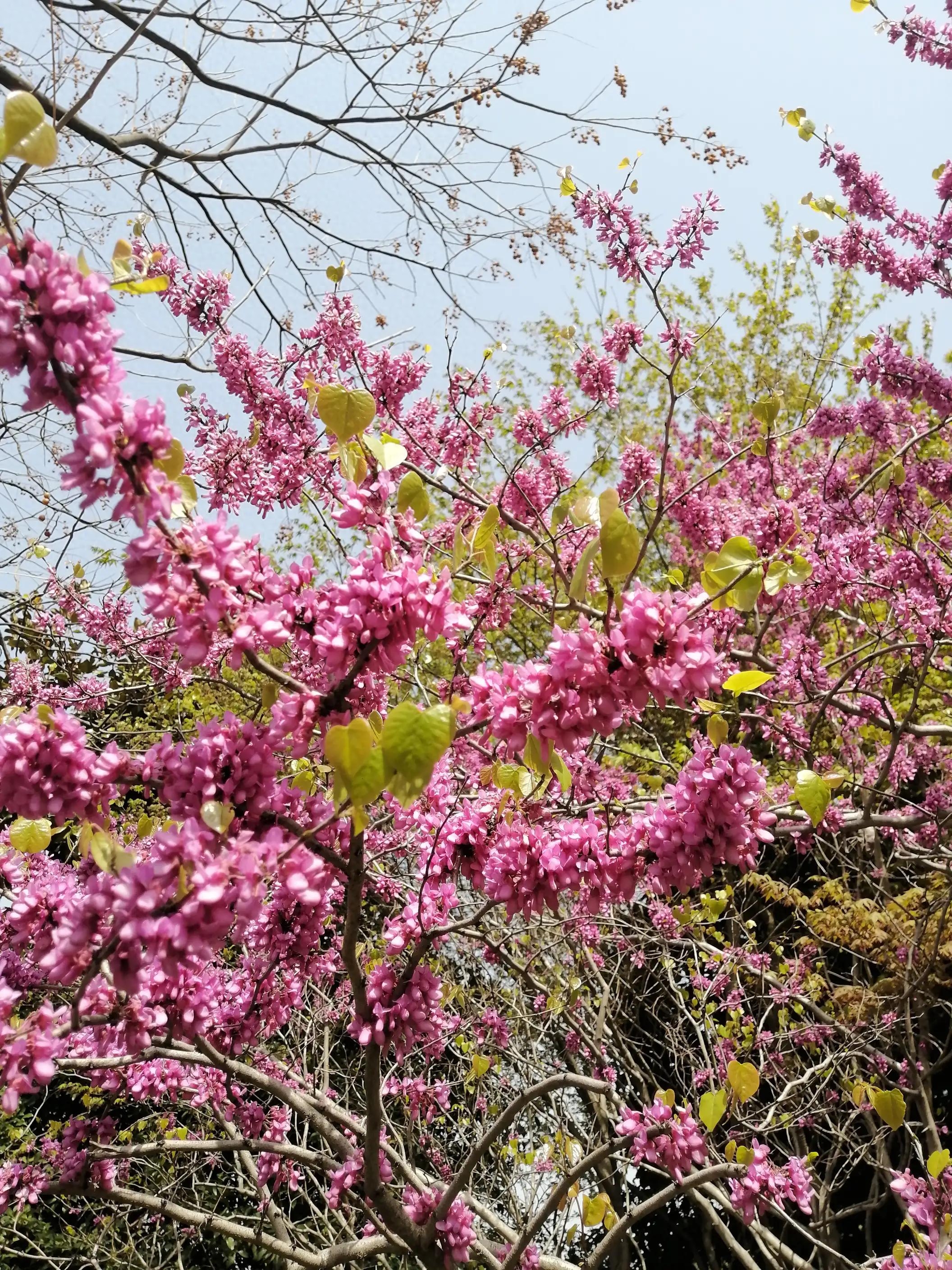 己所欲，慎施于人：让自己按自己方式生活，让别人按别人方式生活(图1)