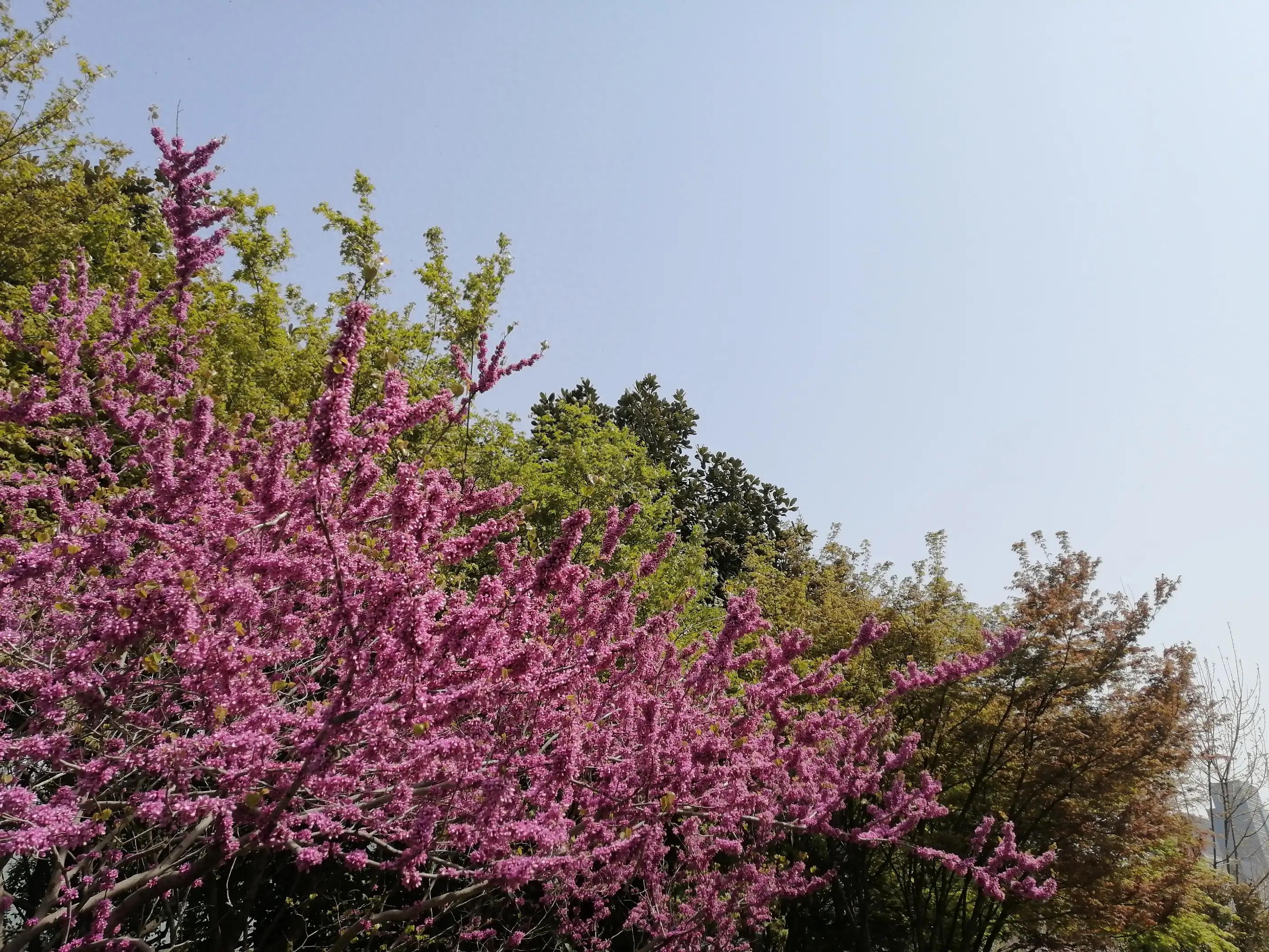 己所欲，慎施于人：让自己按自己方式生活，让别人按别人方式生活(图2)