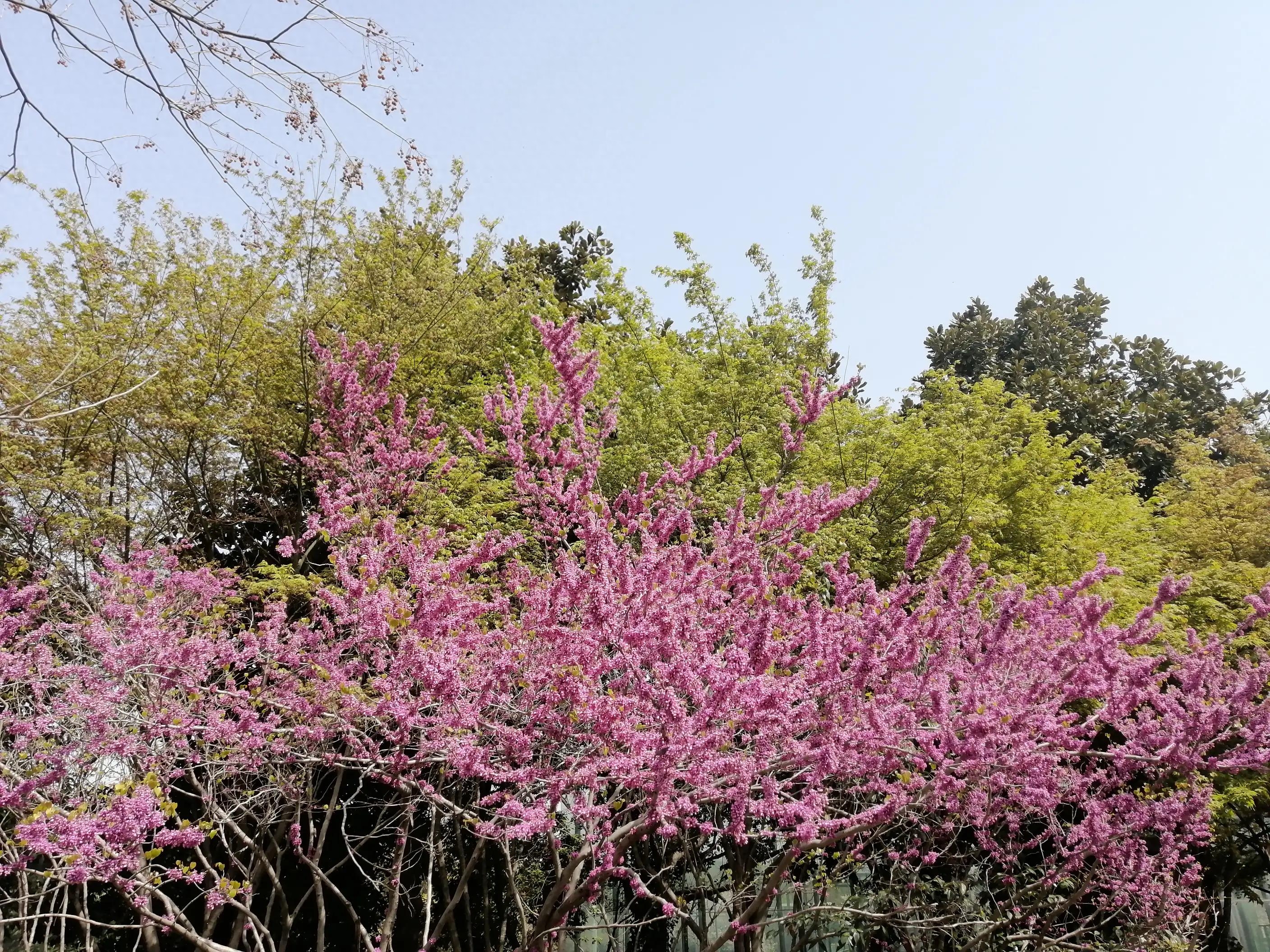 己所欲，慎施于人：让自己按自己方式生活，让别人按别人方式生活(图3)