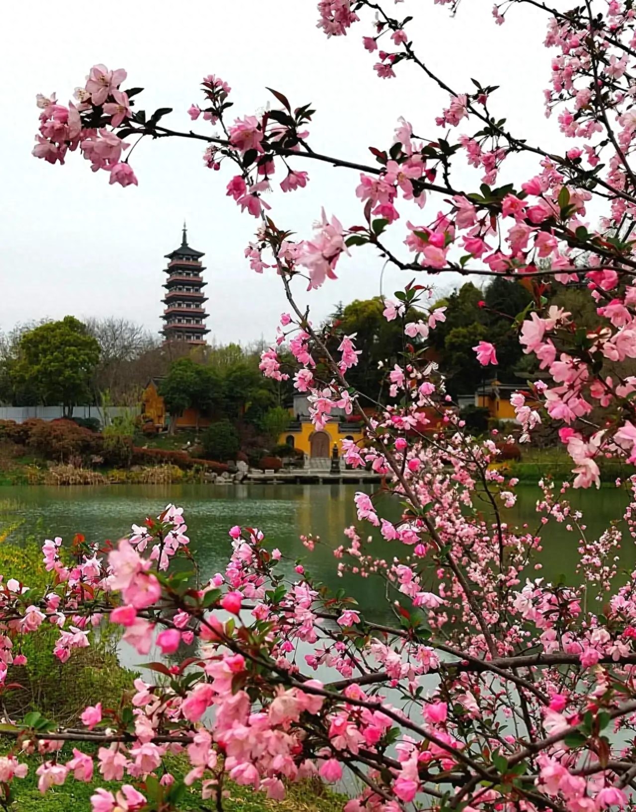 己所欲，慎施于人：让自己按自己方式生活，让别人按别人方式生活(图4)