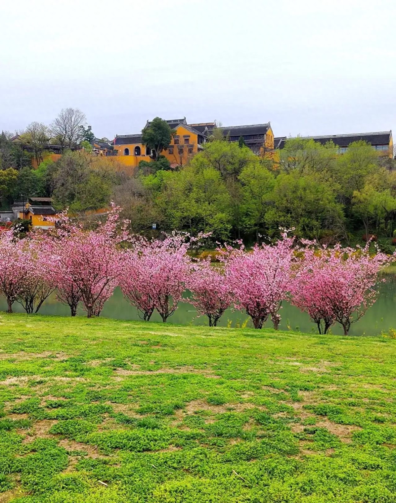 己所欲，慎施于人：让自己按自己方式生活，让别人按别人方式生活(图5)
