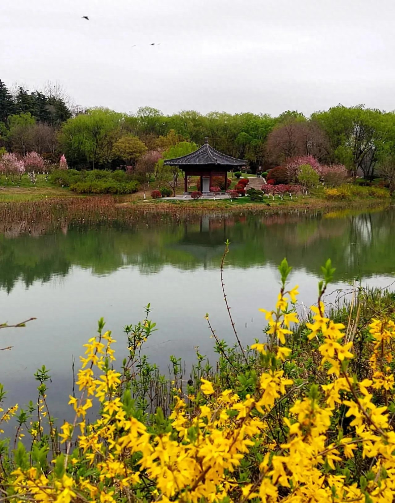 己所欲，慎施于人：让自己按自己方式生活，让别人按别人方式生活(图7)