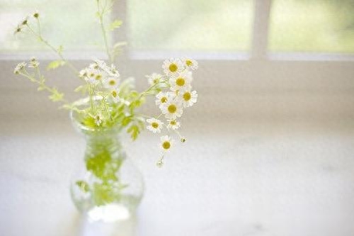 对失意人，莫谈得意事——《格言联璧》精选(图2)