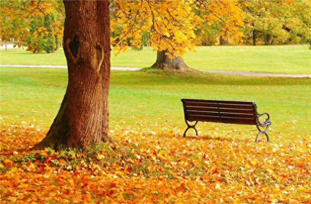 珍惜时间的九句励志名言，愿你不负时光(图2)