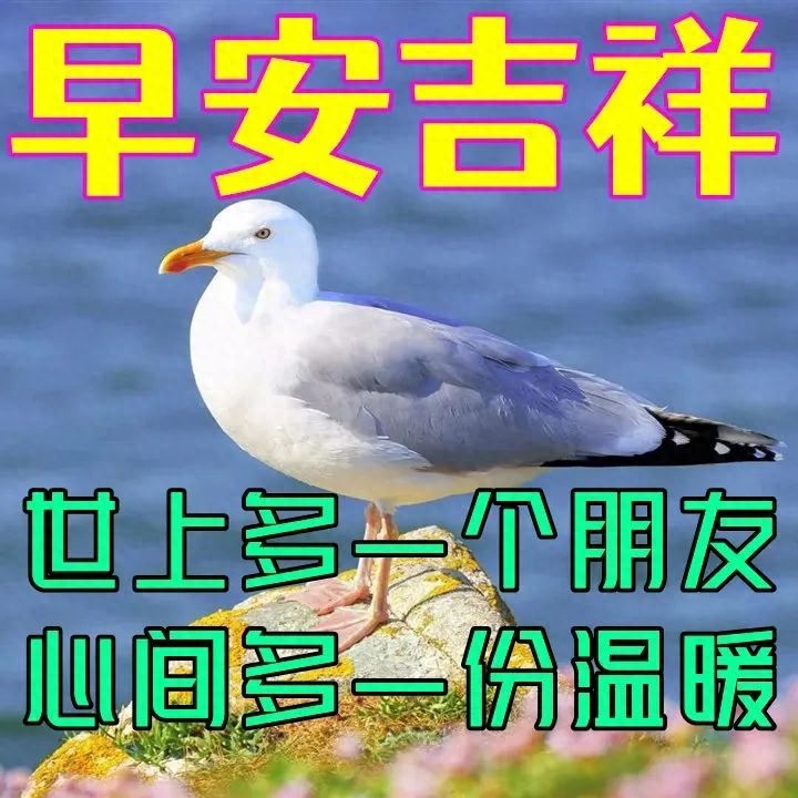 20个早安的温馨句子(图3)