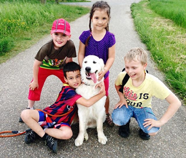 借力借势养娃：为什么欧美相信"养个好孩子需要全村的力量"？(图1)