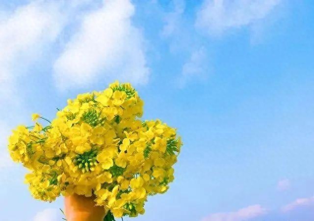 微信最走心的一句话心情说说，随性洒脱，越看越喜欢！(图5)