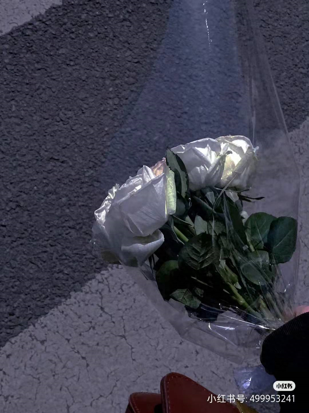 干净文案 八字短句 适合朋友圈个性签名(图4)