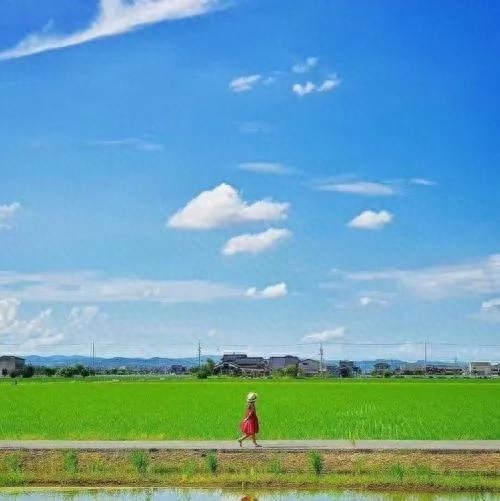 晒风景的温柔治愈系句子(图2)