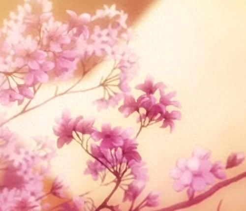 晒风景的温柔治愈系句子(图4)