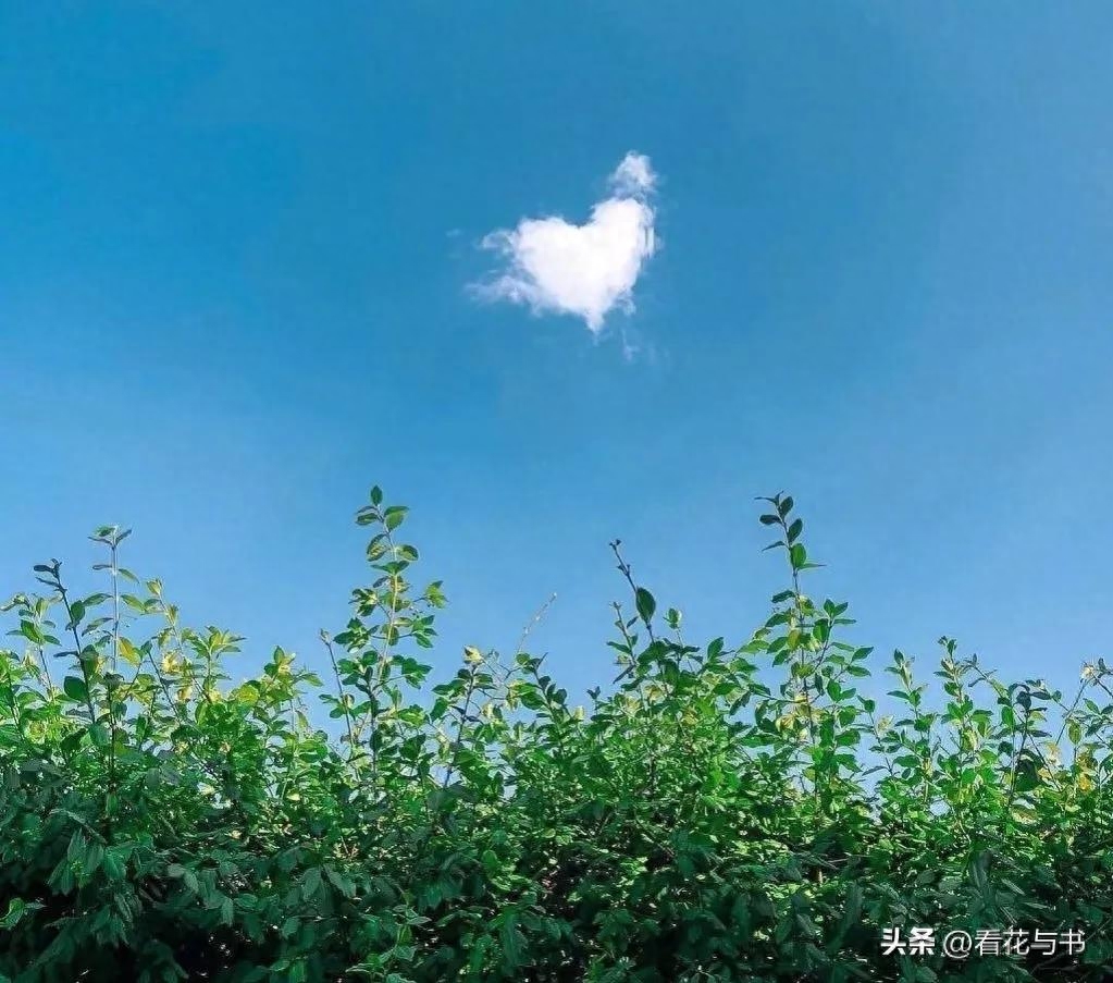 50句，适合旅行时发的文案，跟沿途的风景来一场美丽的邂逅(图1)