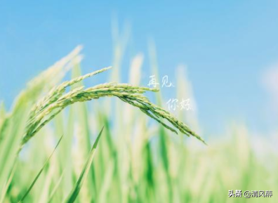 搞笑闺蜜说说大全霸气(图1)