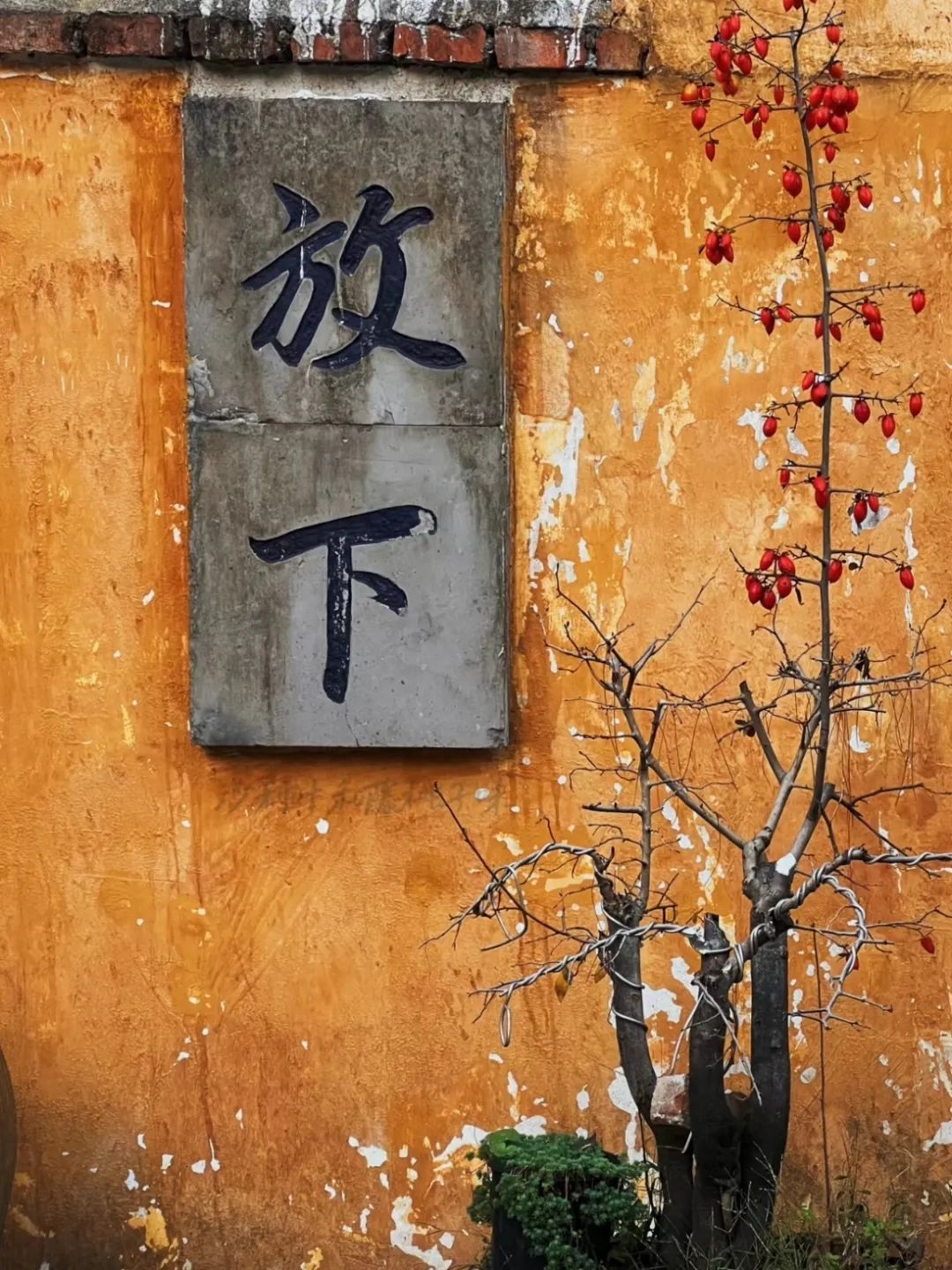 寺庙祈福文案 | 当下悟道即菩提(图3)