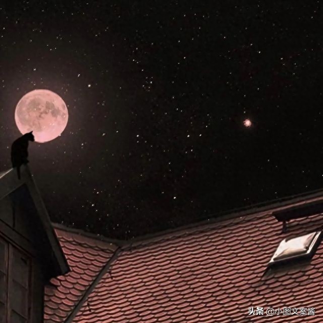 文案丨大海 日落 爱情我们都会拥有(图3)