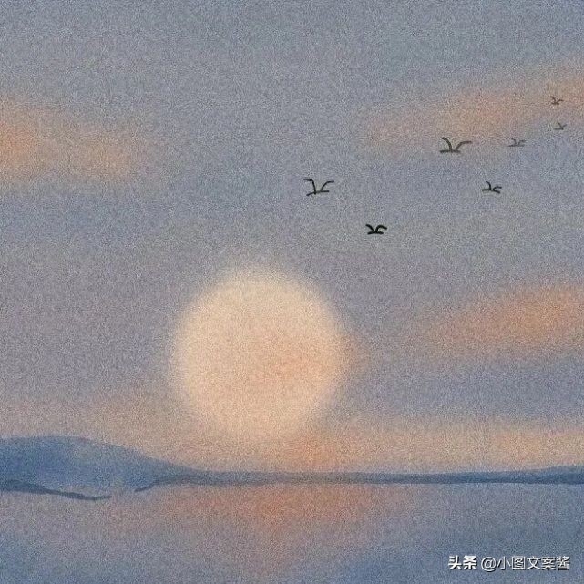 文案丨大海 日落 爱情我们都会拥有(图5)