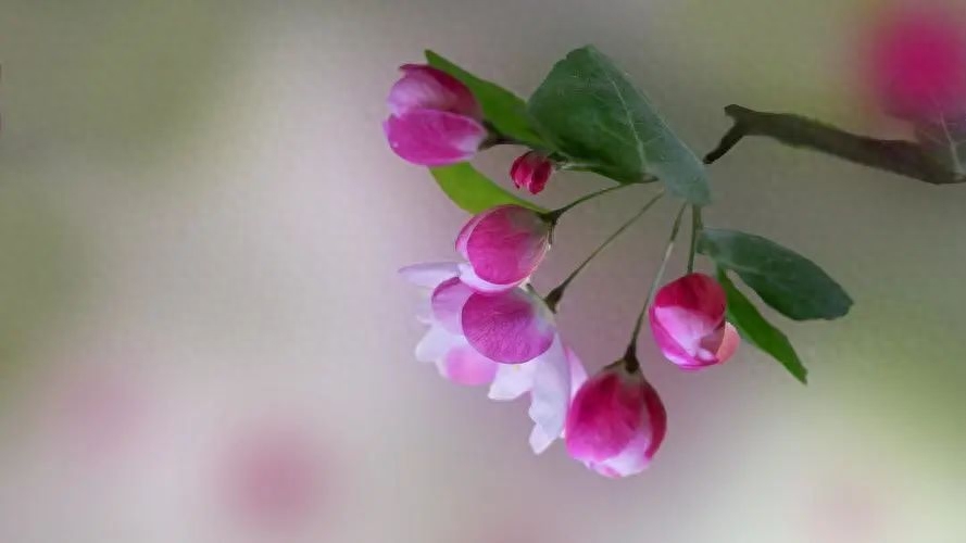 《共同成长，相互支持》——20句交友宣言引领真正的友情(图3)