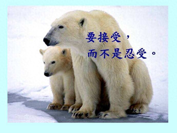 交人交心浇花浇根的经典句子教你如何认识真正的知己(图3)