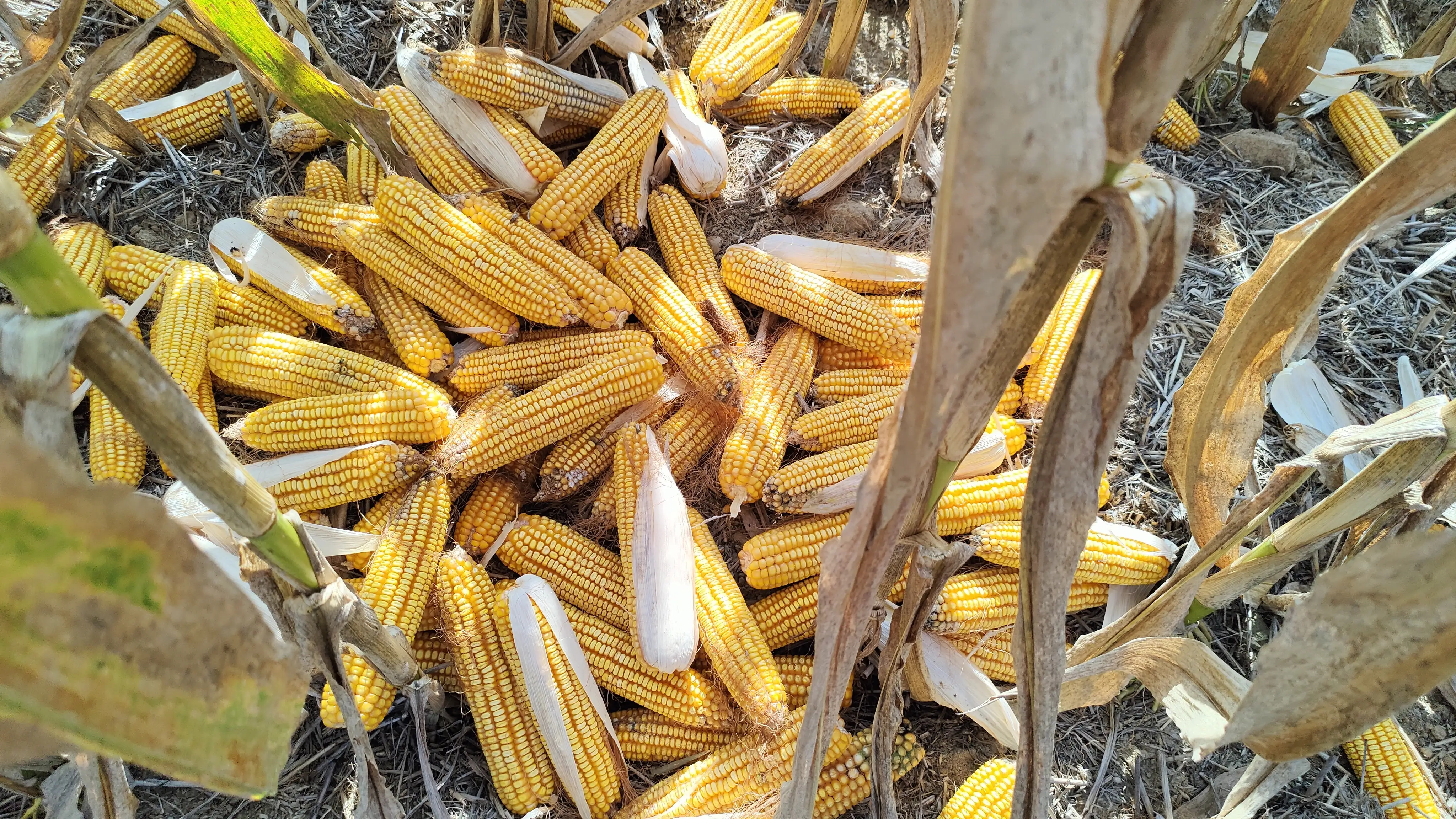 人生，应该笑谈过往，珍惜当下(图4)