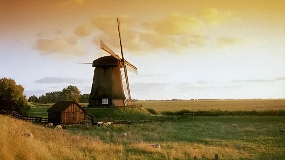 唯美短句，让你感悟生命中的美好(图1)