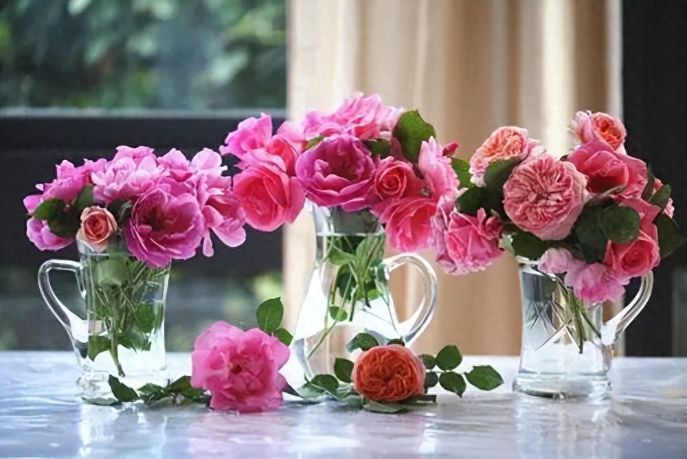 记录生活的美好的句子，留下生命中的美好瞬间(图3)