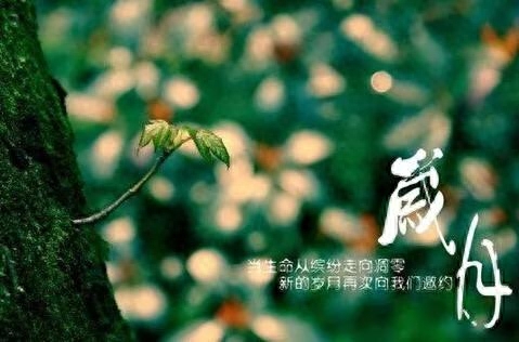 感叹时光岁月的唯美句子文案。感念时光，岁月清浅(图1)