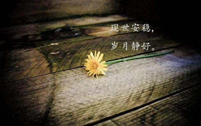 感叹时光岁月的唯美句子文案。感念时光，岁月清浅(图2)