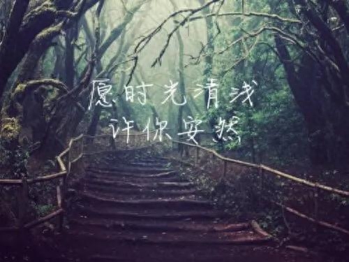 感叹时光岁月的唯美句子文案。感念时光，岁月清浅(图3)